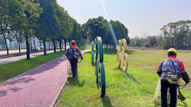 灌木种植间距与品种选择：如何打造美观实用的园林景观**