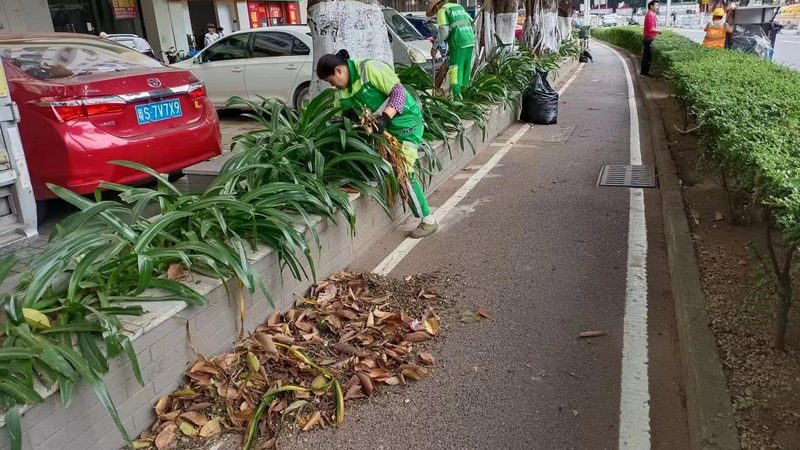 酒店花卉租摆优缺点分析：如何平衡美学与成本