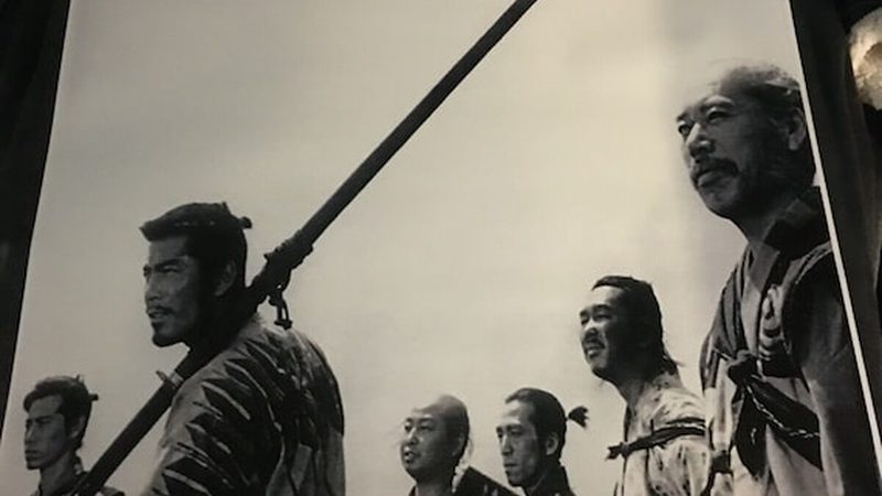 成都市政绿化草坪品种