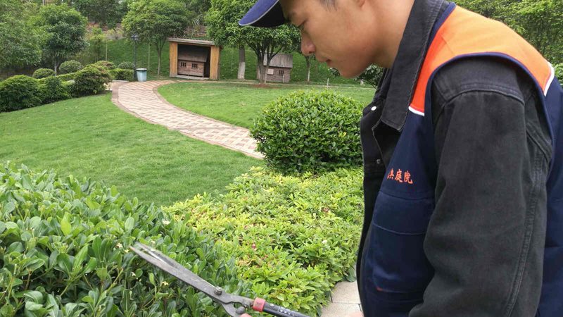 花园设计公司口碑排名：揭秘背后的考量因素