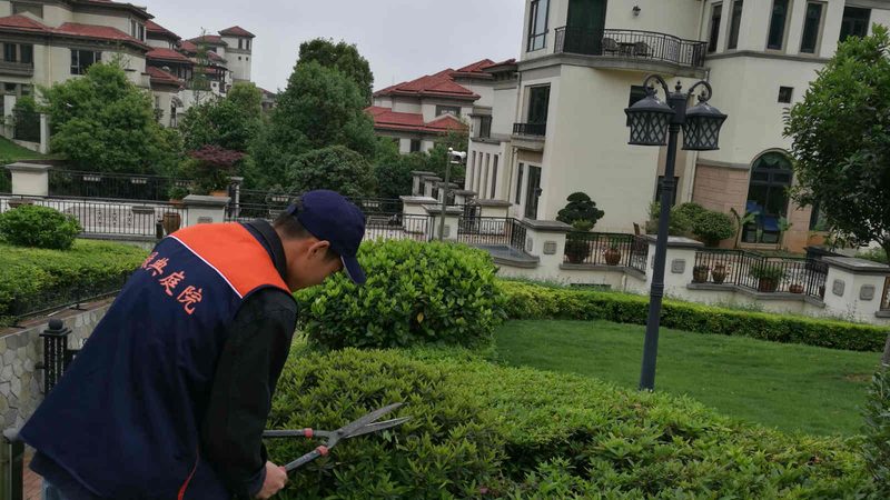 园林施工方案与报价：如何精准匹配需求**