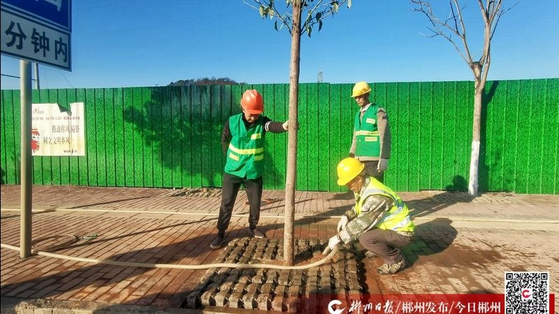 园林绿化土建交叉施工，哪些细节不容忽视？**