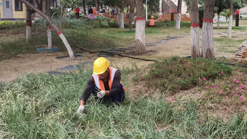 中式园林景观设计分类与风格解析