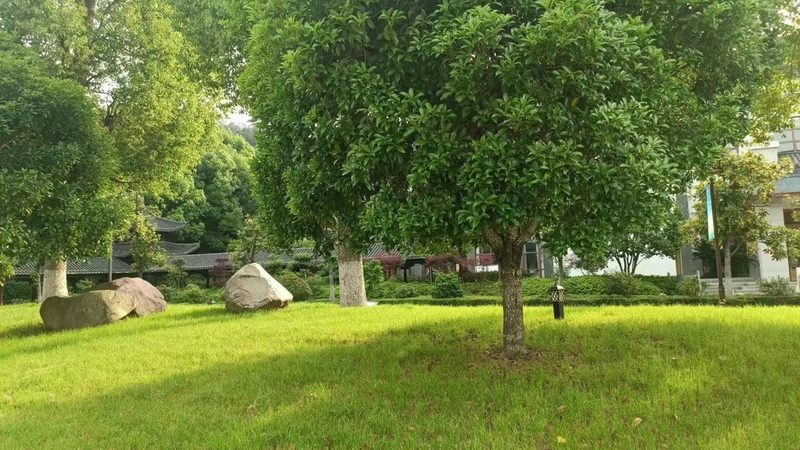 假山流水喷泉安装，揭秘专业施工步骤