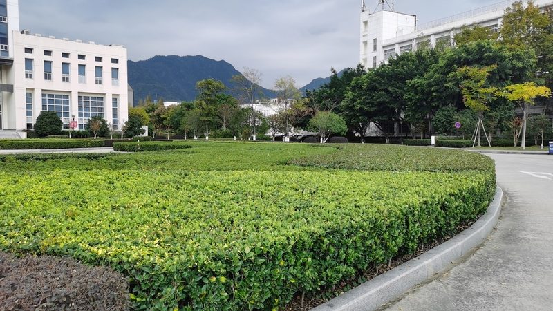 基层处理费用通常包括以下内容：