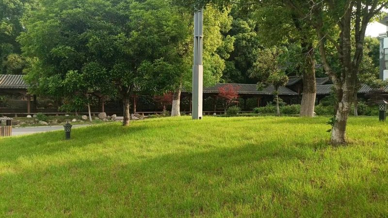 酒店花卉租摆优缺点分析：如何平衡美学与成本