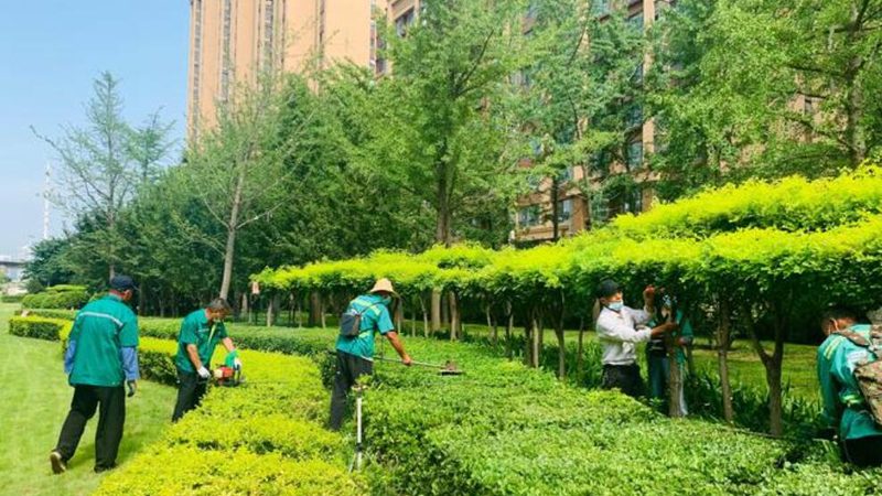 园林绿化资质三级升二级，哪些条件是关键？**